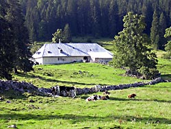 Chalet du Pr&eacute;s de l'Haut Dessus (***)