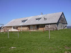 Grand Plat de Bise ( **** )