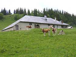 Chalet des Begnines  ( *** )
