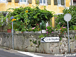 Cliquer pour agrandir