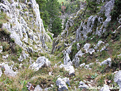 Cliquer pour agrandir