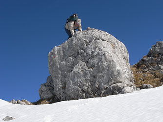 Cliquer pour agrandir