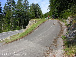 Cliquer pour agrandir