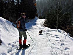 Cliquer pour agrandir
